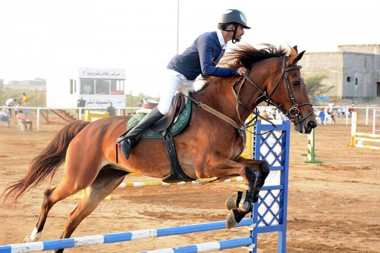 انطلاق بطولة الفروسية لقفز الحواجز بمحافظة أحد المسارحة