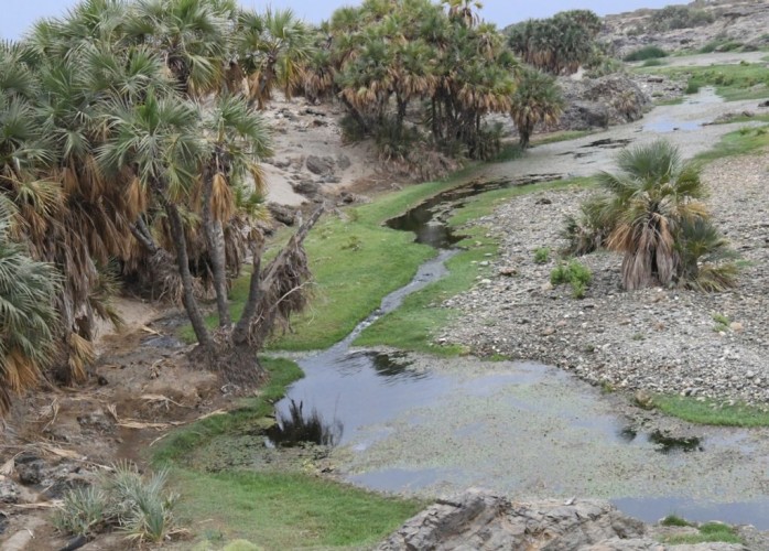 عدسة “واس” تختزل جمال الطبيعة في مركز “ريم” بجازان