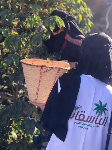 مبادرة زراعة شتلات البُن بمزرعة جميلة المالكي