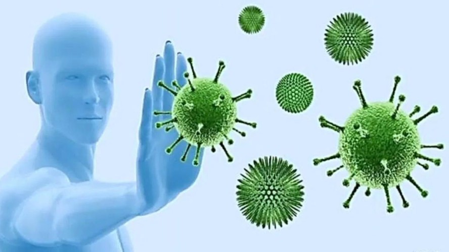كيف يعمل جهاز المناعة في جسم الإنسان؟ .. وكيف يتفاعل مع اللقاحات المضافة لـ”كوفيد19″