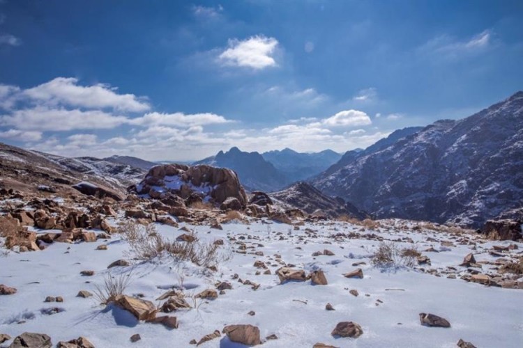 المسند: يكشف عن يومي ذروة الموجة الباردة التي قد تصل فيها درجة الحرارة للصفر المئوي