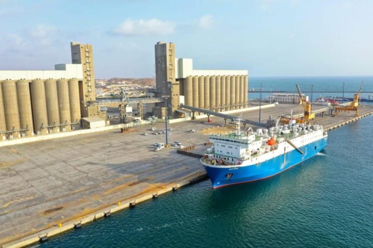 استقبال أول شحنة مواشٍ بميناء جازان بعد توقف لـ41 شهرا