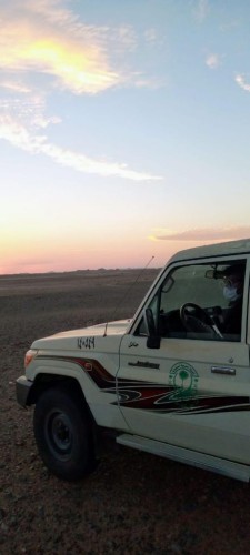 بعد مكافحة أسراب الجراد في مركز الحليفة .. وحدة وزارة البيئة تحذر المواطنين بعدم تناول الجراد لهذا السبب!