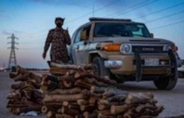 إيقاف (18) مخالفًا لنظام البيئة ضبط بحوزتهم كمية من الحطب المحلي المعروض للبيع على متن (18) مركبة