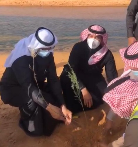 مدير عام فرع وزارة البيئة بالجوف يدشن حملة زراعة ضفاف الجداول المائية بوادي الرصيف