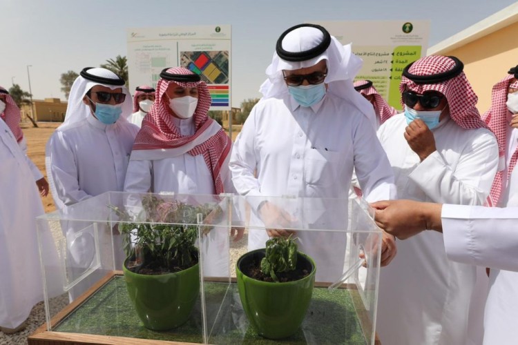“البيئة” تدشن 4 مشروعات وخدمات زراعية لتطوير منتجات ومدخلات الإنتاج العضوي في منطقة القصيم