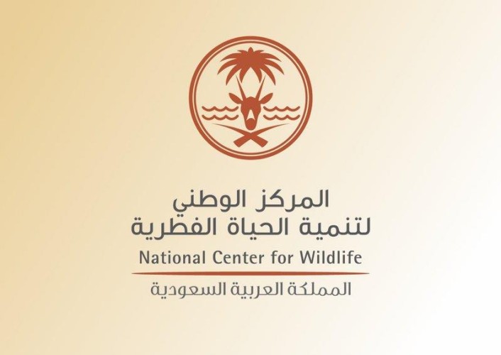 الحياة الفطرية تعلق على حادث افتراس أسد لصاحبه بالرياض: أمرًا ذا درجة عالية من الخطورة