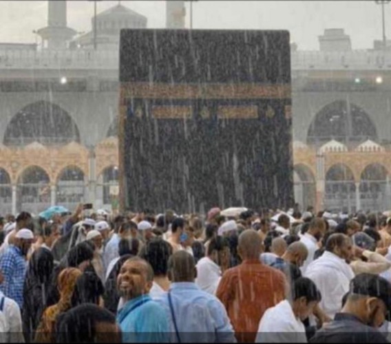 رزقُ الحكيمِ