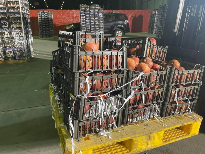 إحباط محاولة تهريب (5.3) ملايين حبة كبتاجون مخبأة في فاكهة “رمان”