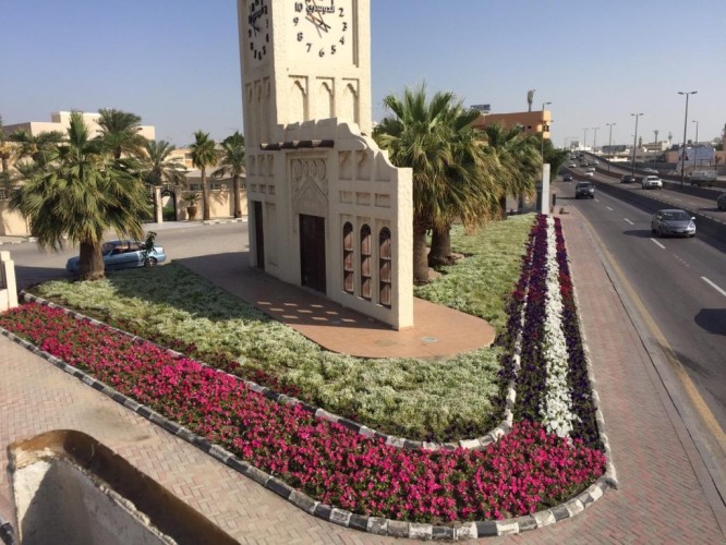 أمانة الشرقية: زراعة أكثر من مليونين وثمانمائة ألف زهرة وشجرة في حاضرة الدمام