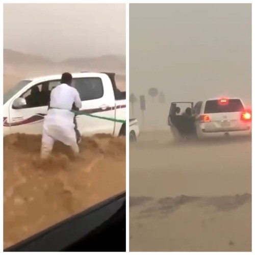 شاهد: مواطن يغامر بحياته وينقذ رجل وامرأة جرفت السيول سيارتهما جنوب حائل