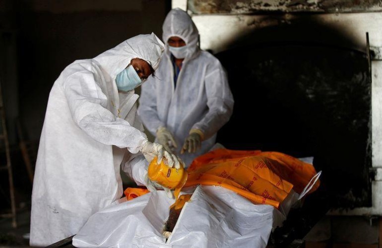 بالفيديو: مسؤول بمجلس الصحة الخليجي: الفطر الأسود ليس جديداً .. ويكشف طرق الوقاية