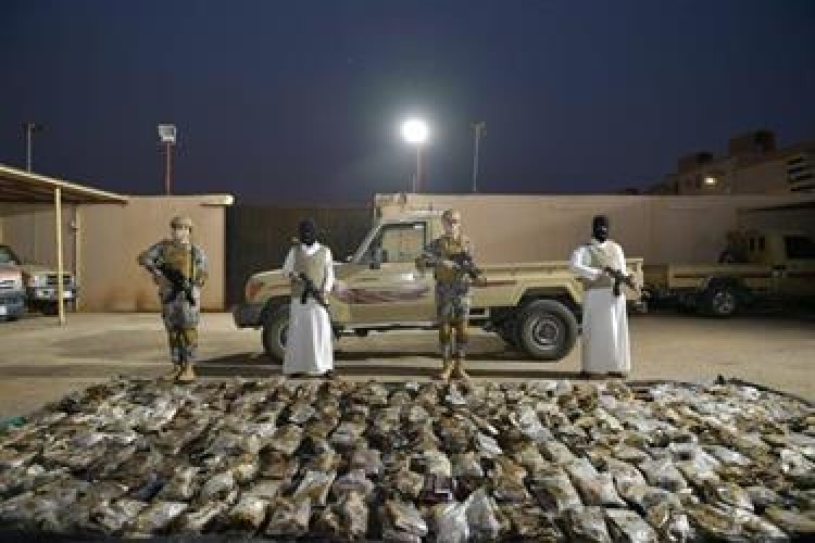 حرس الحدود يحبط محاولة تهريب (802) كيلوجرام من الحشيش المخدر و (25.4) طن من القات المخدر