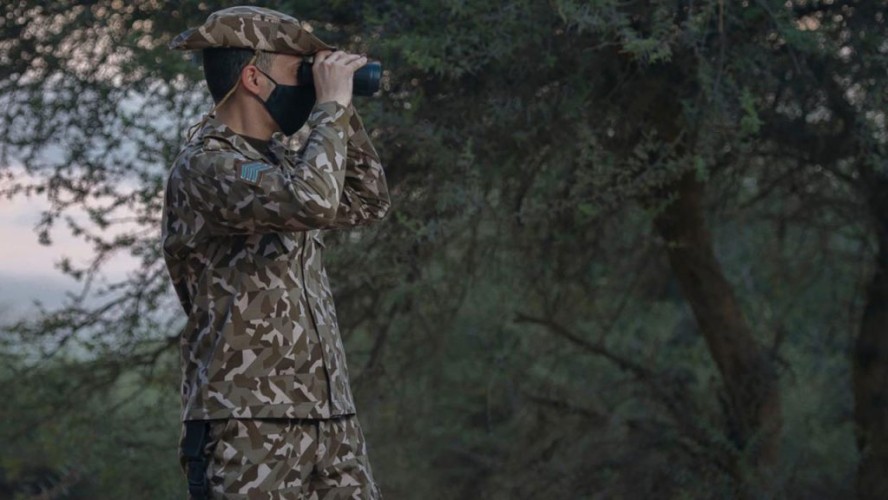 ضبط مواطنَين اصطادا صقرين في منطقة جازان