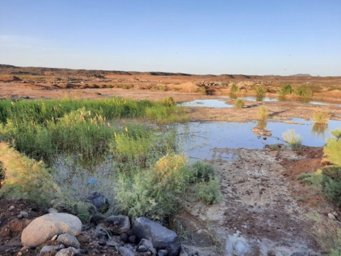 وفاة مواطن وابنته غرقاً بالحائط