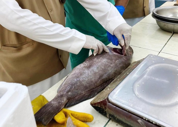 بلدية القريات تنفذ 209 جولة رقابية على المنشآت التجارية