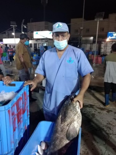 بلدية القطيف: اتلاف 600 دجاجة غير صالحة للاستهلاك و 450 كلجم من الأسماك من خلال الحملات المشتركة