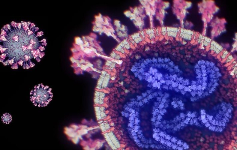 علماء “كاوست” يطورون نظاماً لرصد وتعقب طفرات فيروس “كورونا”