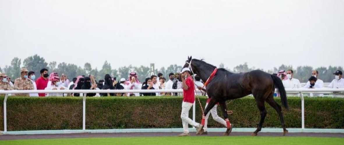 نادي سباق الخيل يقيم حفل سباقه السابع بالطائف