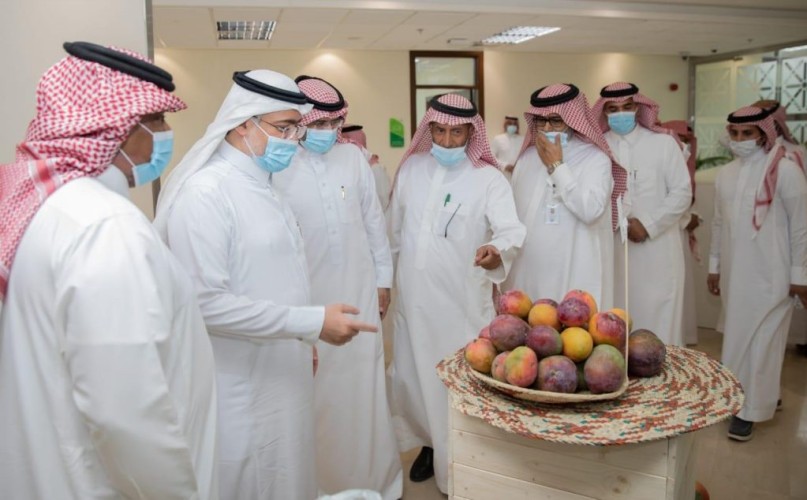 “البيئة” تدشن مشروع التقييم الاجتماعي والاقتصادي لمبادرة تأهيل المدرجات الزراعية