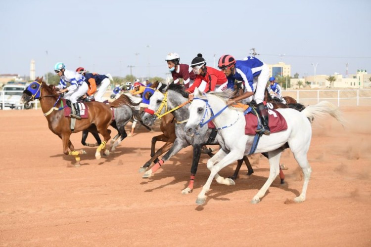 سمو أمير منطقة الباحة يرعى حفل اختتام سباقات الفروسية