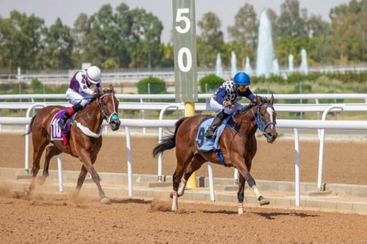 نادي سباق الخيل يقيم الحفل العاشر على كأس جامعة أم القرى وجائزة النادي بالطائف