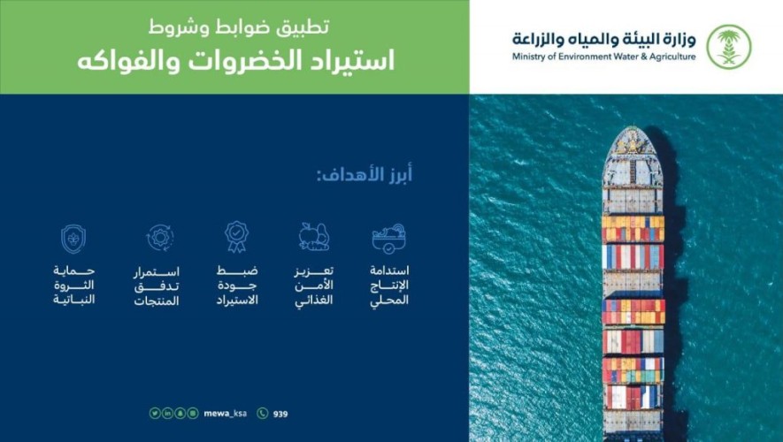 “البيئة” تطلق آلية جديدة لتطبيق ضوابط وشروط استيراد الخضروات والفواكه