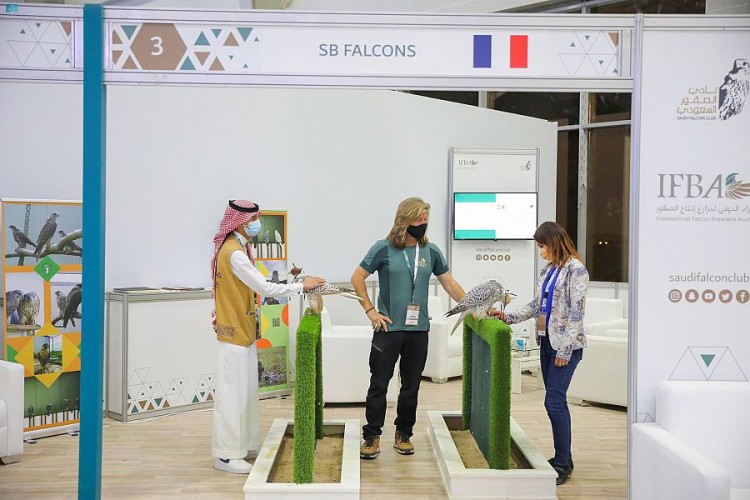 مواطن شاب يلفت انتباه فرنسيين في المزاد الدولي لمزارع إنتاج الصقور