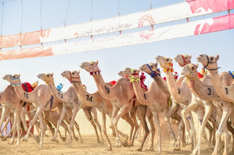 “قوقل” و”جمايل” يخطفان نوماس “الصباحية” للثنايا