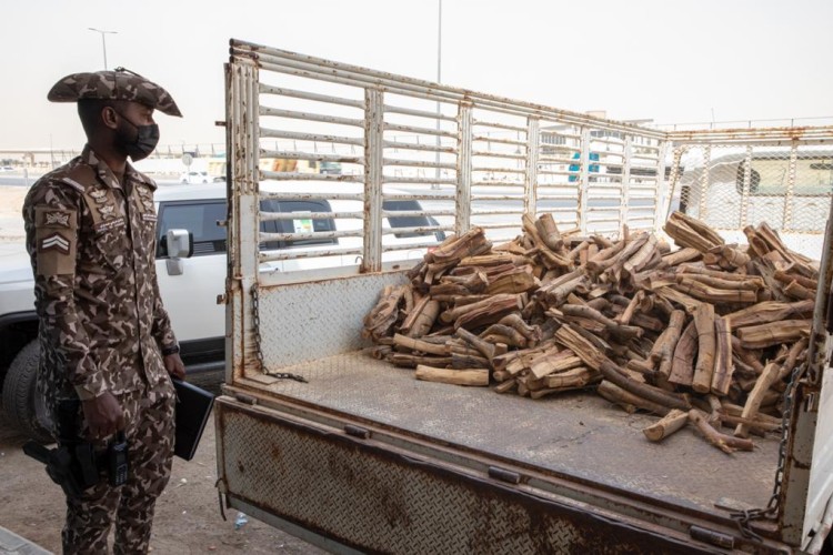القوات الخاصة للأمن البيئي تضبط موقعًا لبيع الحطب والفحم المحليين في محافظة جدة