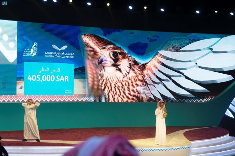 405 آلاف ريال تجعل من صقر طريف الأغلى في مزاد نادي الصقور السعودي الثاني