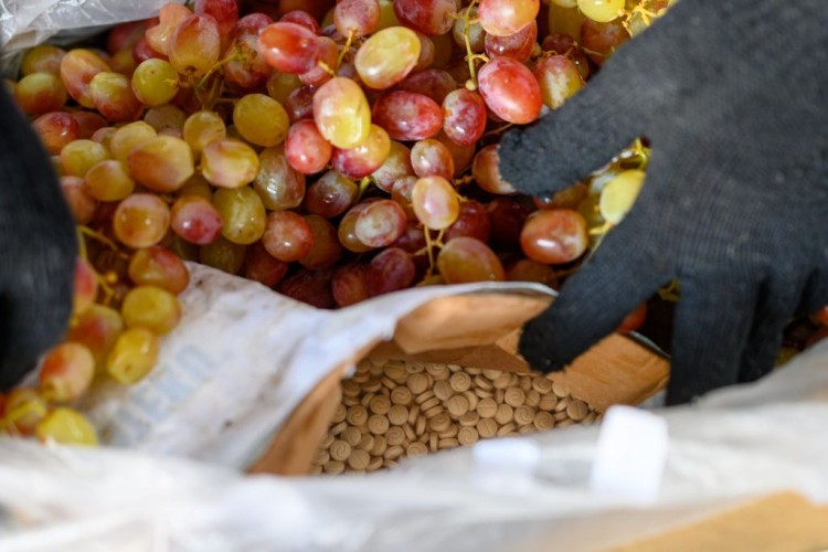 مكافحة المخدرات: إحباط مخطط تهريب أكثر من 5 ملايين قرص إمفيتامين داخل حاوية لفاكهة العنب بميناء جدة الإسلامي .. والكشف عن جنسيات المتهمين