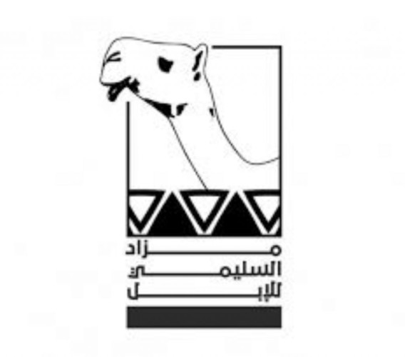 مزاد محافظة السليمي للإبل بنسخته الثانية ينطلق غداً الخميس