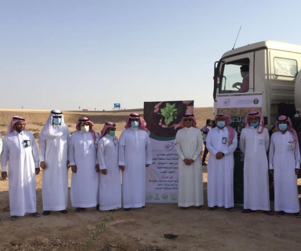 تحت إشراف لجنة اصدقاء البيئة .. تدشين حملة تشجير الجوف خضراء