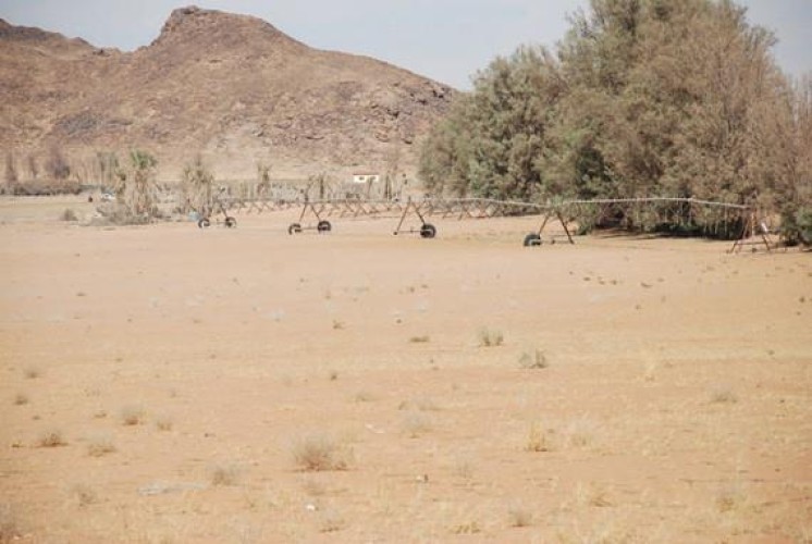 الصك المشاع .. هل هو أسلوب جديد من الغش والخداع؟ .. المحامي حسين العنقري يوضح! – فيديو