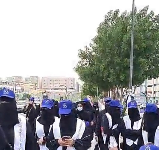 مبادرة ” كات ووك ” للمحافظة على القطط البرية المعرضة للإنقراض بالطائف .