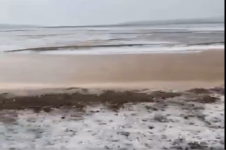 بالفيديو: هطول امطار غزيرة مصحوبة بالبرد على محافظة الحناكية