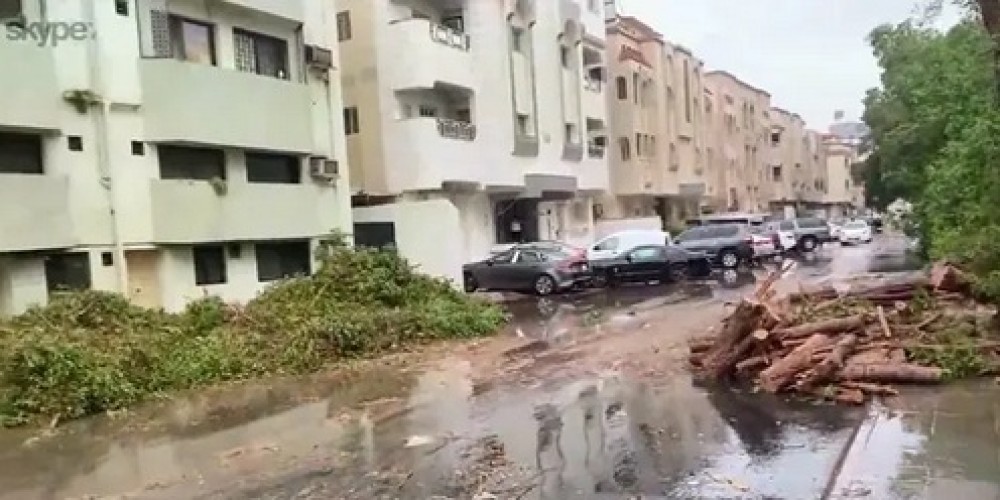 بالفيديو: سقوط عدد كبير من الأشجار بعد اقتلاعها من جذورها بسبب الأمطار في جدة