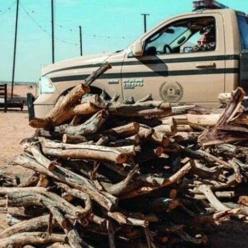 ضبط 11 مخالفاً لنظام البيئة بحوزتهم حطباً محلياً معروضاً للبيع