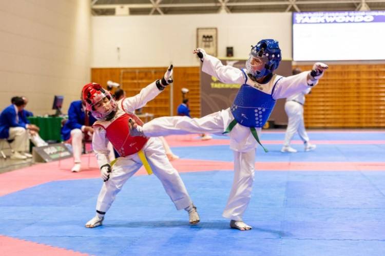 الهلال يحقق كأس البراعم للتايكوندو