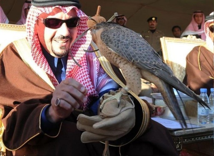 أنطلاق مهرجان القصيم للصقور ينطلق اليوم الخميس