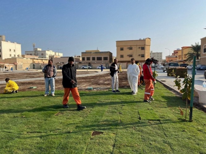 بلدية رأس تنورة تزرع أكثر من 4 آلاف شجرة وشجيرة وأكثر من 51 ألف زهرة خلال ثلاثة أشهر وتعمل على زراعة400  ألف زهرة موسمية متنوعة