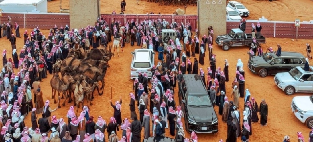 مهرجان الملك عبدالعزيز للإبل في نسخته السابعة يعلن أسماء الفائزين في فئة سيف الملك لون الشعل