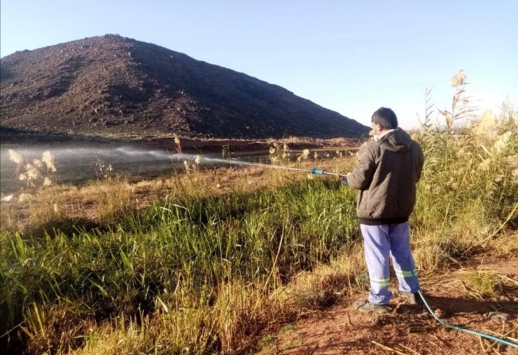 أمانة منطقة حائل تكثف أعمال مكافحة آفات الصحة العامة