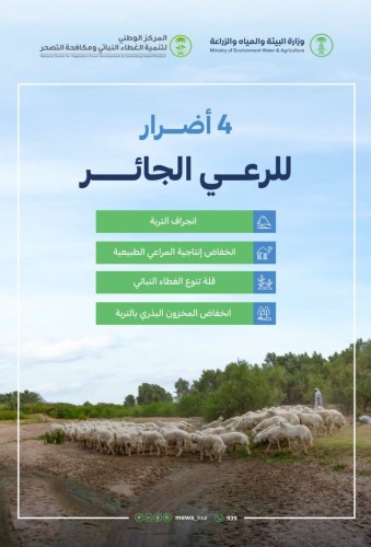 “البيئة”: أربعة أضرار رئيسة للرعي الجائر على أراضي المملكة