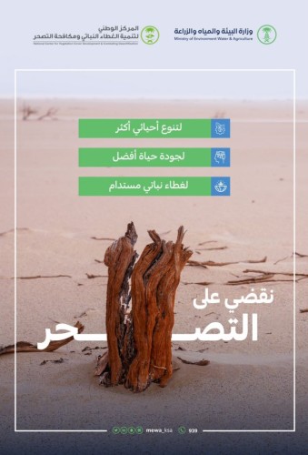 “البيئة”: القضاء على التــــصحـــــر يُسهم في تحقيق جودة حياة أفضل وغطاء نباتي مستدام