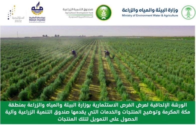 جهات حكومية تكشف عن فرص استثمارية واعدة بمحافظات مكة المكرمة