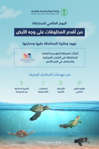 “البيئة” تشارك العالم الاحتفاء باليوم العالمي للسلاحف البحرية.. جهود وطنية لحمايتها والمحافظة عليها