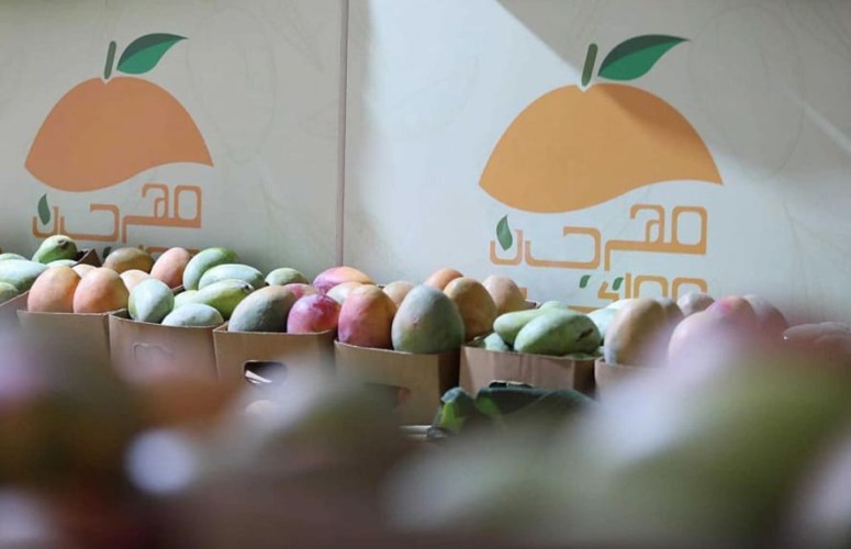 منطقة الباحة تسجل إنتاج أكثر من 20 ألف طن من المانجو سنوياً