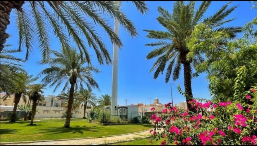 أمانة العاصمة المقدسة تواصل أنسنه الحدائق والمسطحات الخضراء